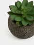 Marks & Spencer "Artificial Mini Succulent in Concrete Pot"